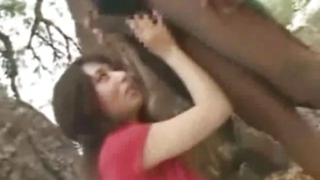 الكبار لا التسجيل جدول كبيرة الحمار المتشددين سكس جنس عرب نار قرنية الوردي المرأة الشباب