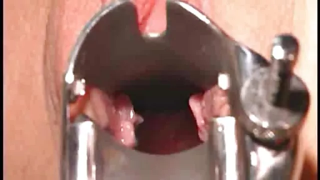الكبار لا التسجيل أناشد الورك الفم الثدي سكس عربي جديد مترجم