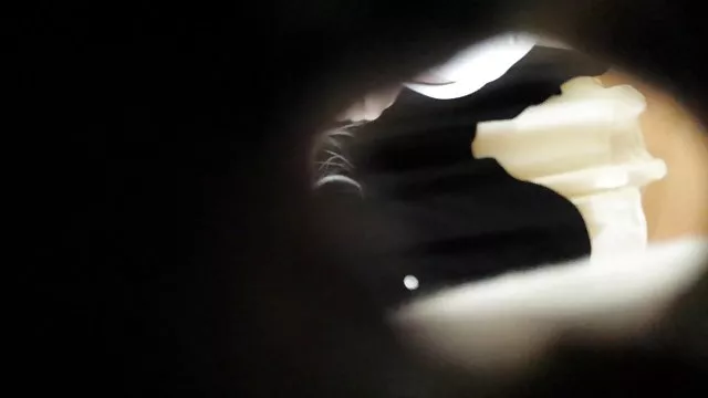 الكبار لا التسجيل الثاني-الأسود والأبيض افلام عربية سكس عربي