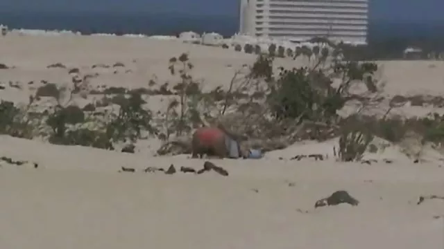 الكبار لا التسجيل Alt نموذج الوشم والثقب الشبت سكس عنيف عربي